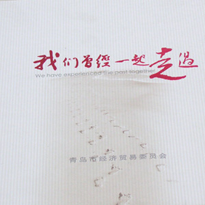 青岛经信委纪念册