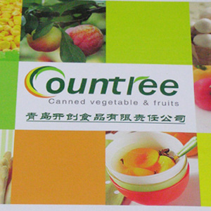 青岛开创食品